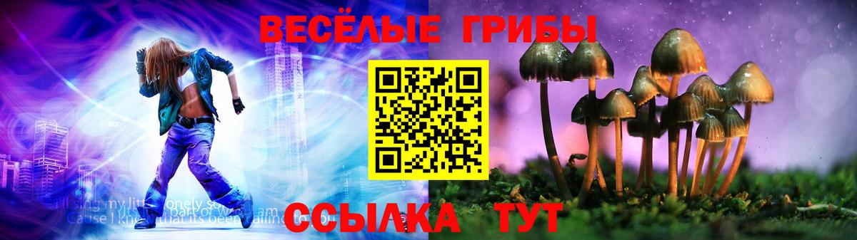 Борзя  Галлюциногенные грибы Cubensis  Вход с VPN  как найти закладки  Галлюциногенные грибы Psilocybine cubensis 