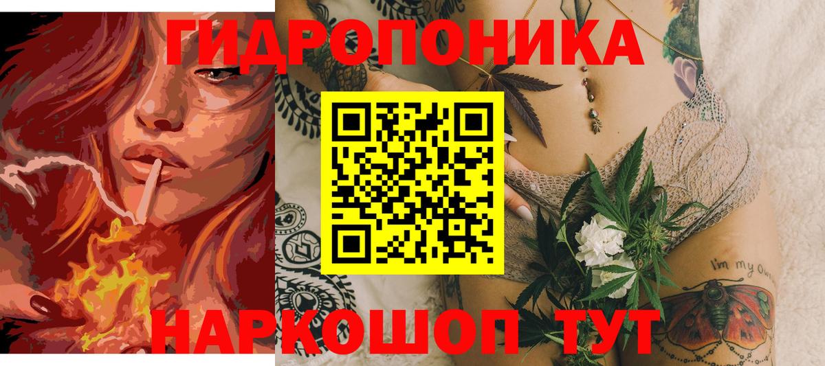 Бошки Шишки конопля  Вход с VPN  Марихуана план  Борзя  Каннабис Bruce Banner  Канабис MAZAR 