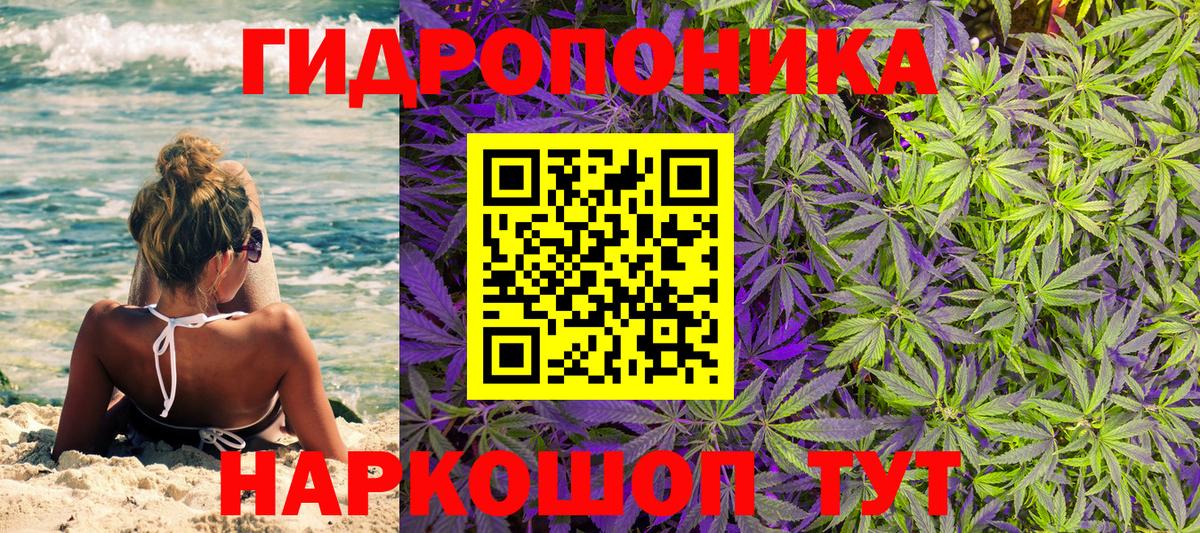 Каннабис семена Борзя